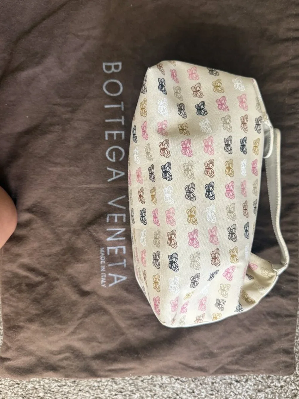Bottega Veneta Butterfly Print Zip Pouch